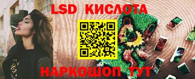 прущие грибы Конаково