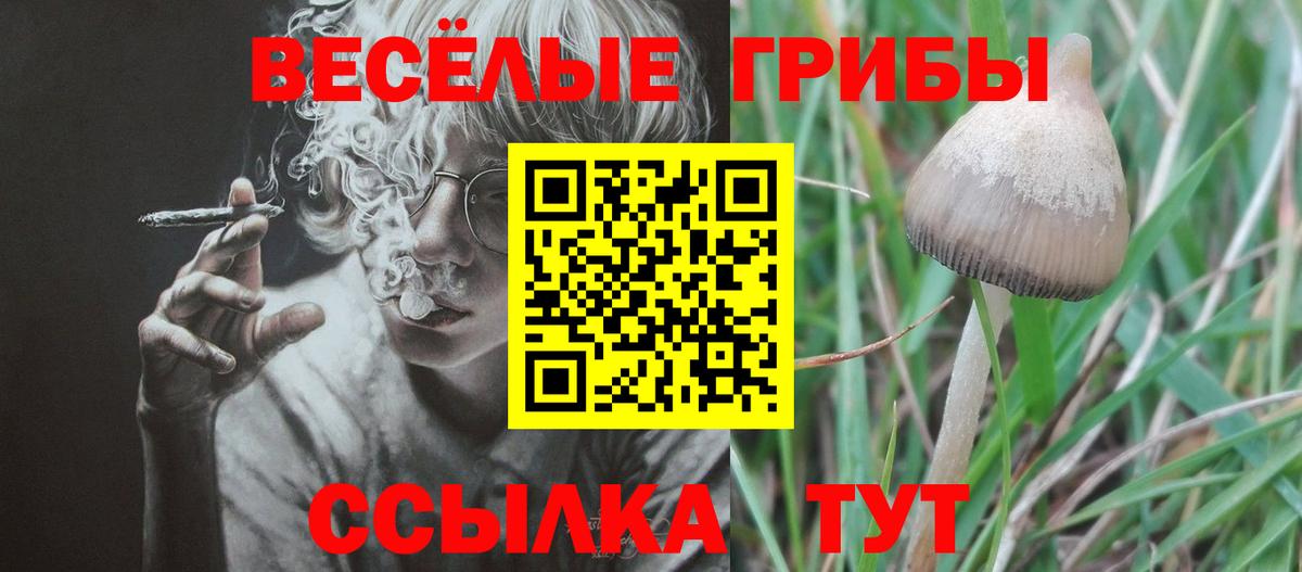 Галлюциногенные грибы Magic Shrooms  Галлюциногенные грибы Magic Shrooms  Фурманов  Вход с VPN 